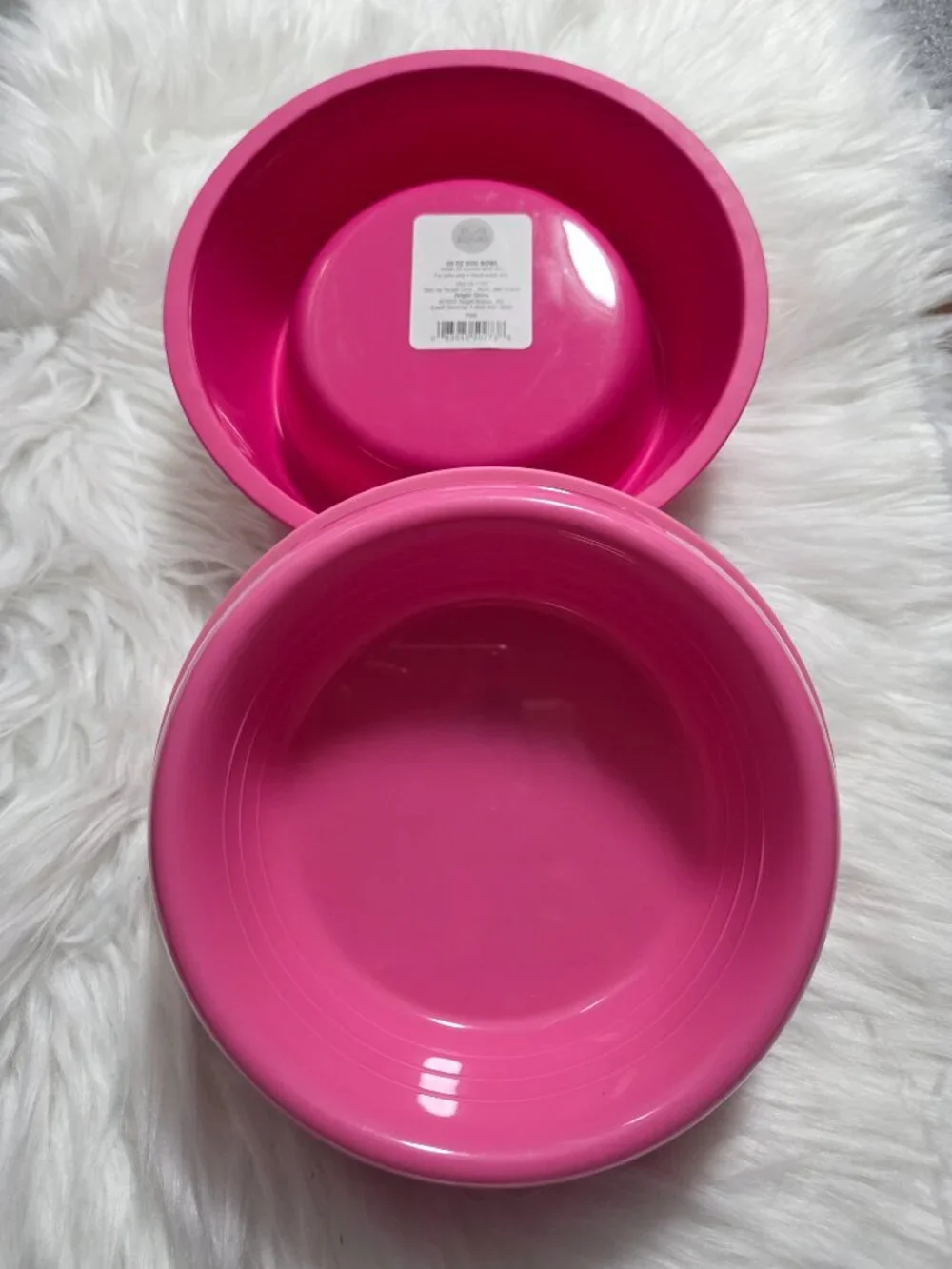 Sun Squad Set of 2 Dog Bowls